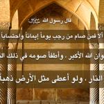 slider-1106-1454249319 2